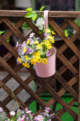 colorful flower Pots with fence