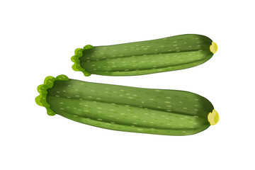 Zucchini isolated on white background. Green courgette vegetable. Vegetarian food, striped squash or ripe marrow with stem. For magazine, book, poster, card, menu cover, web pages. Stock vector