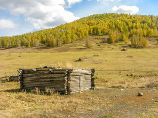 autumn, xinjiang, village, white, haba, golden, beautiful, kanas, china, nature, color, natural, landscape, tree, forest, rural, fall, countryside, morning, background, yellow, colorful, travel, orang