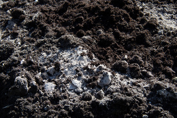 Spring fertile land fertilized for the sowing