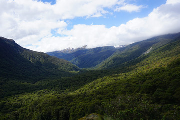 Fototapeta premium Mountains covered by trees