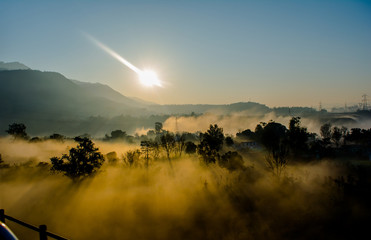 sun rays coming through the trees and electric towers with fog enhancing the light at sunrise, Aerial view
