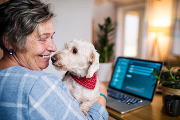 Senior woman with pet dog and laptop working in home office.