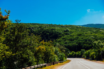 landscape is expensive near the forest and sky