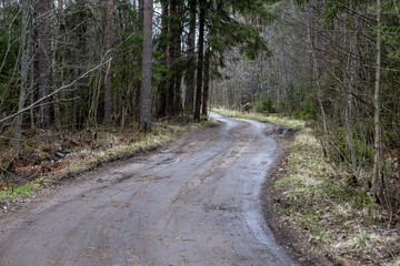 The dirt road in the woods. Rest in rural landscape