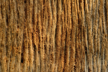 Old wood texture background with natural pattern.