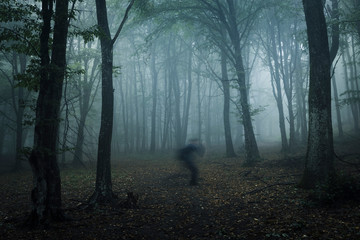 scary ghost shadow in dark forest, strange horror landscape