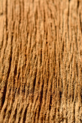 Old wood texture background with natural pattern.