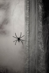Artificial spider decoration for Halloween in black.