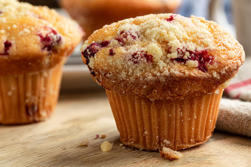 Closeup of a Cranberry Muffin