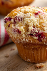 Closeup of a Cranberry Muffin