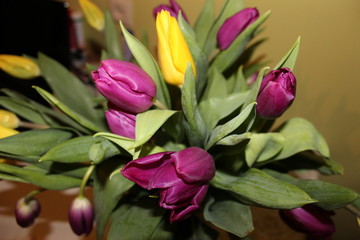 Fototapeta premium beautiful bouquet of tulips