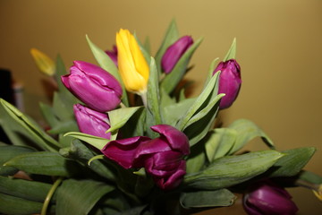 
beautiful bouquet of tulips