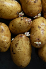 A lot of young fresh brown potatoes are lying on the black table. Taken in close-up with natural light. The view from the top.