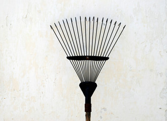 Thin metal rake for harvesting leaves in the garden. Gardening equipment on a background of a...
