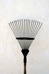 Thin metal rake for harvesting leaves in the garden. Gardening equipment on a background of a...
