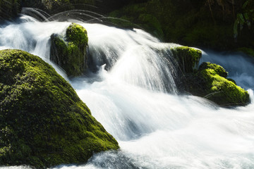 Fototapeta premium Flowing river in spring and Moss-covered stones