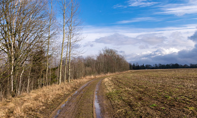 Fototapeta na wymiar landscape with a simple road, early spring