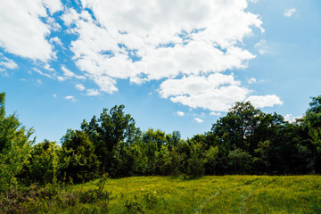 forest green blue sky and clouds its beautiful