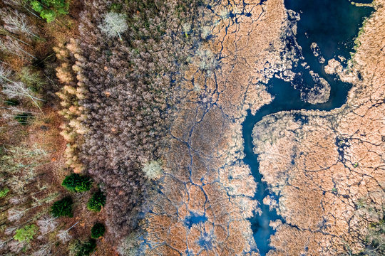 Small river and brown swamps, view from drone