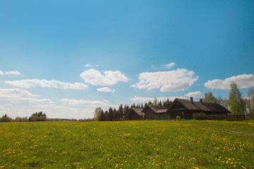 Pleasant sunny summer landscape: old blue sky and clouds, green grass, yellow dandelion flowers on a meadow and old historical country building . A happy idyllic scenery view background. Warm weather
