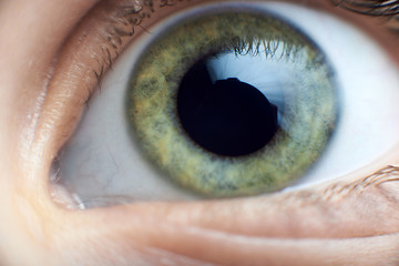 Beautifu green child's eye macro shot