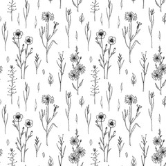 Hand drawn meadow flowers seamless pattern with Chicory, Cornflower and Flax. Vector illustration of medical plants in sketch style