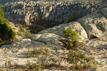 VALLEY OF THE CATIMBAU (CHAPADAO) PERNAMBUCO BRAZIL 