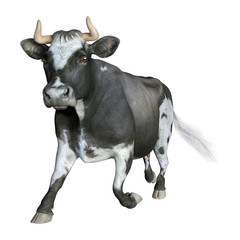 3D Rendering Cow on White