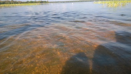 water 