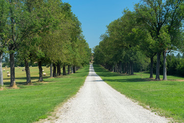Country landscape in Reggio Emilia province