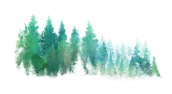 Watercolor Green landscape of foggy forest hill. Wild nature, frozen, misty, taiga. Evergreen coniferous trees. Horizontal watercolor background. © Leyasw