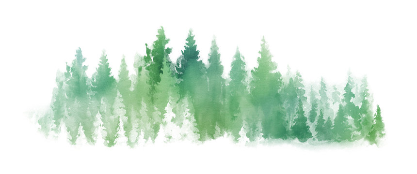 Watercolor Green landscape of foggy forest hill. Wild nature, frozen, misty, taiga. Horizontal watercolor background. Evergreen coniferous trees. © Leyasw