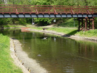 Fototapeta na wymiar Wooden bridge in the park