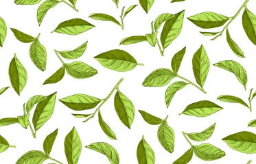 Tapeten Tee Nahtloses Muster mit handgezeichneten Teeblättern und Zweigen