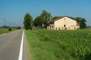 Fototapeta premium Country landscape in Reggio Emilia province