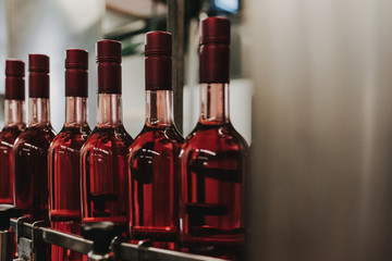 Weinabfüllung