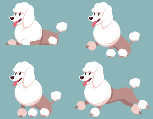 Poodle in different poses. Beautiful dog in cartoon style.