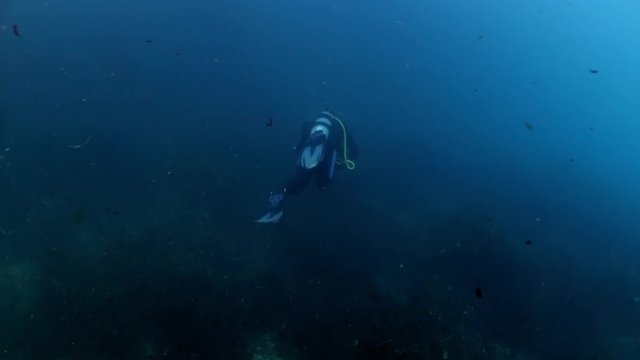 Man wearing wetsuit scuba diving with oxygen tank in blue sea - Carmel by the Sea, California