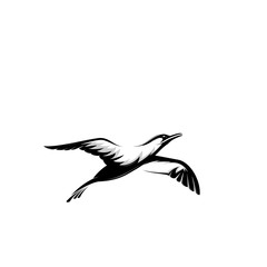 Silhouette logo design flying bird