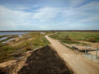 Fototapeta premium bright landscape with lake shore, flooded lake meadows, first spring greenery, wallpaper