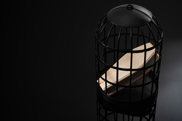 Loneliness epidemic, solitary confinement as torturer  and isolation kills concept with wood coffin locked in a black cage isolated on dark background with copy space