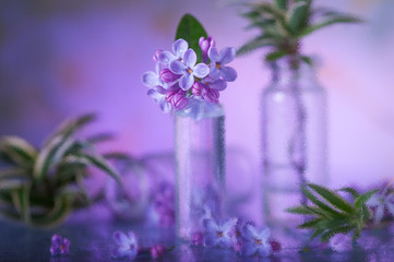 Lilac in a small jar. Micro bunch. Still life with lilacs.