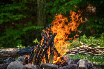 Burning campfire against the background of the spring forest.