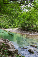 Obraz premium view of a fast mountain river called Khosta among lush mountain vegetation in the mountains of the Caucasus, Russia