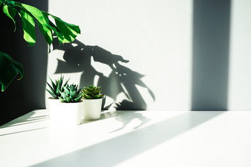 Close up view of simple workspace with tree light window background