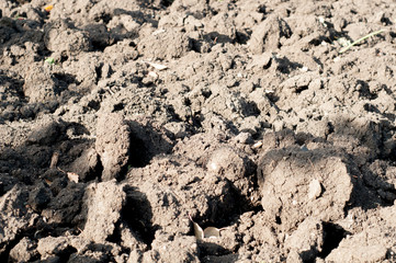 Soil, earth, ground close up. 