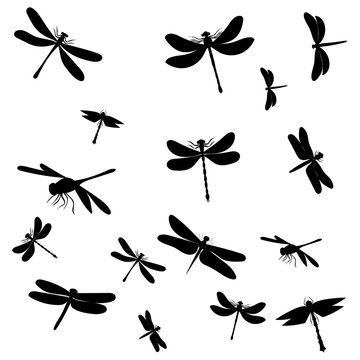 vector, isolated, dragonfly silhouettes set, background