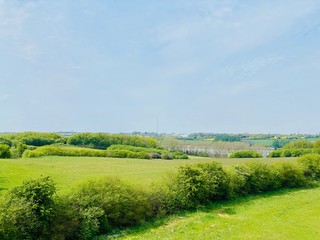 Naklejka premium rural landscape with river and blue sky