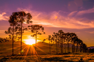 Obraz premium Sunset